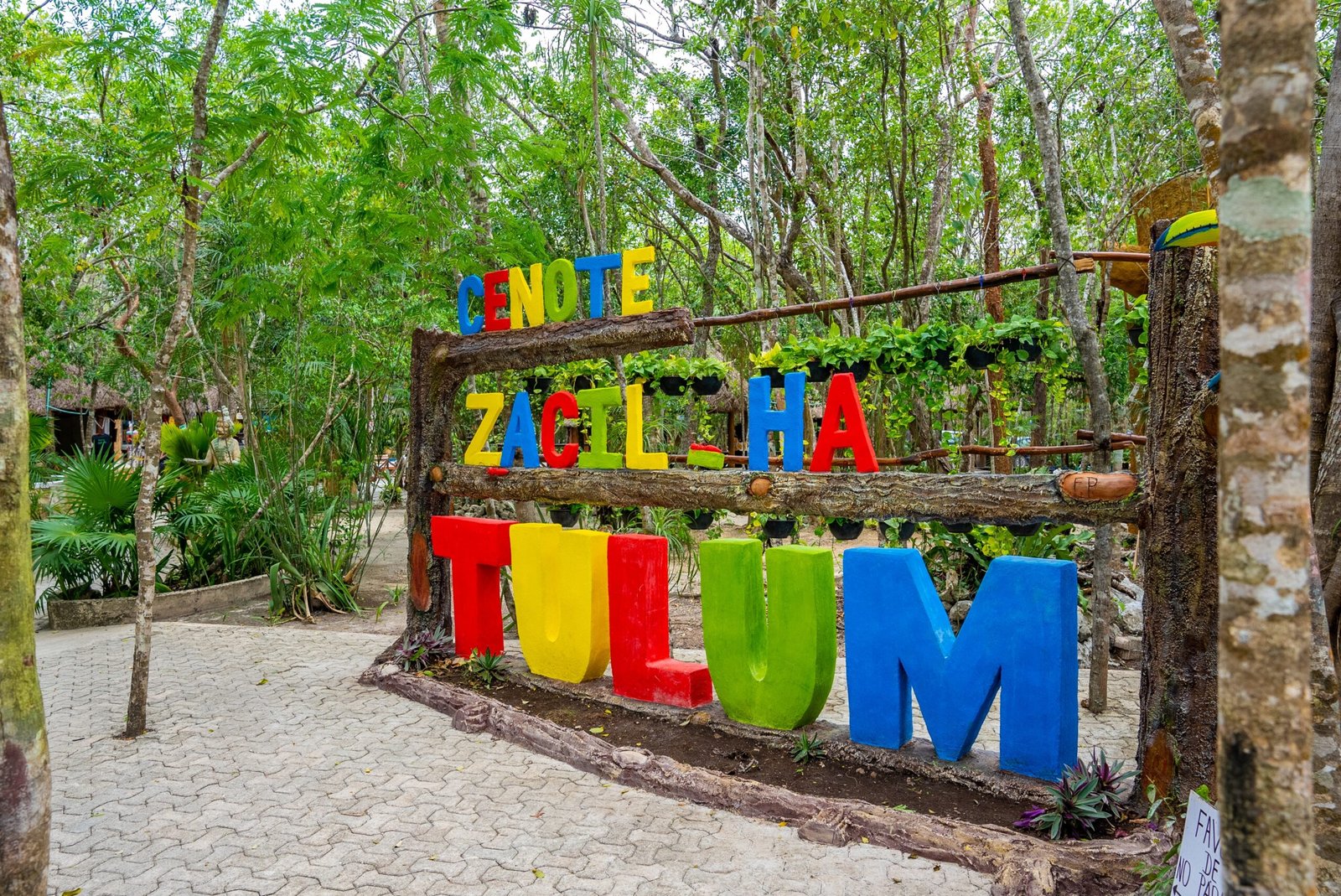 zacil ha cenote en tulum