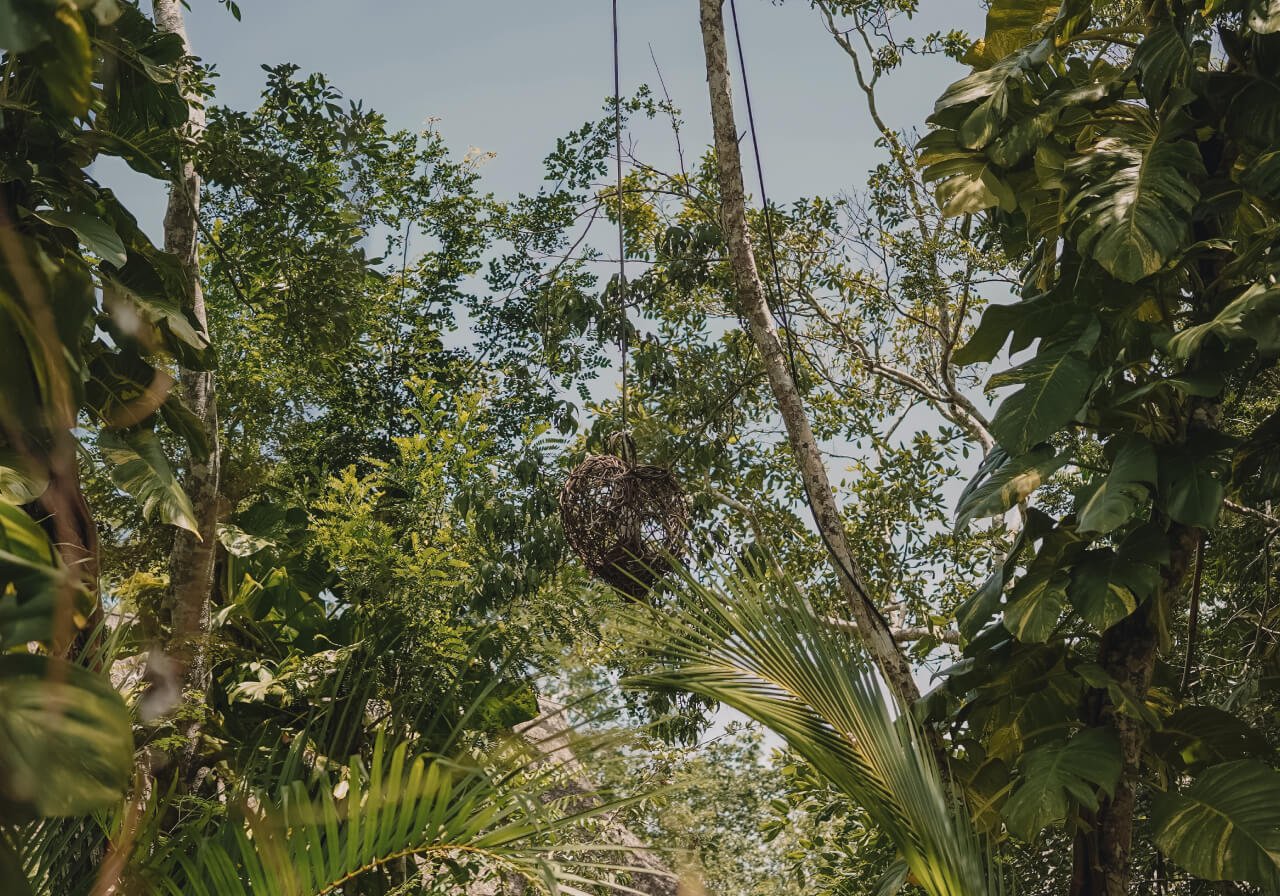 fauna and flora on spring time