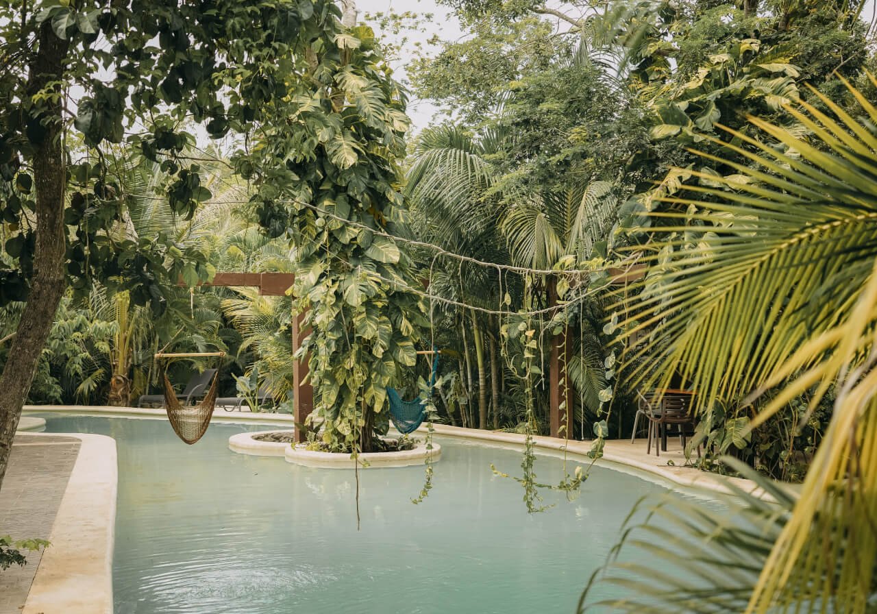 naturaleza cobá en verano