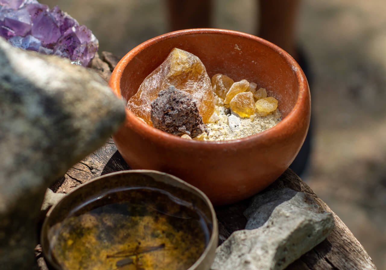 Mayan melipona bee honey used in rituals